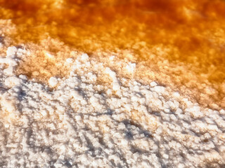 The process of crystallization of native salt on the surface of water (a type of ice formation). Hypersaline Lake. Red-brown water is determined by bacterias Dunaliella salina