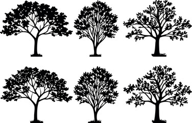 Obraz premium Silhouette set of six elegant trees with detailed branches and leaves