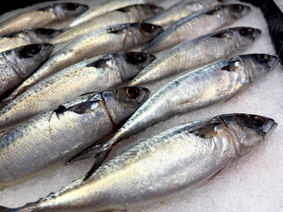 Fresh fish frozen in the market contain Omega 3