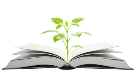Sprout growing from an open book isolated PNG with Transparent Background