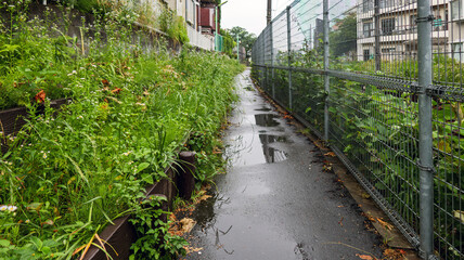 雨上がりの都会の裏路地