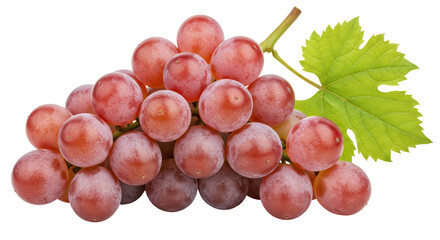 Isolated Bunch of Red Grapes