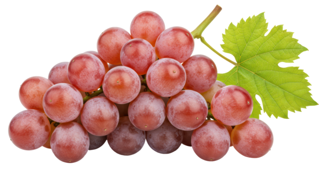 Isolated Bunch of Red Grapes