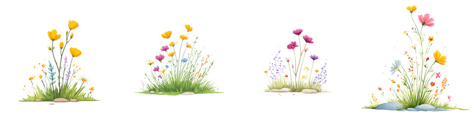 Vibrant wildflowers blooming in a tranquil meadow