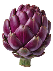 Fototapeta premium Close up of a purple artichoke with green stem on a black background in sharp focus and detailed texture