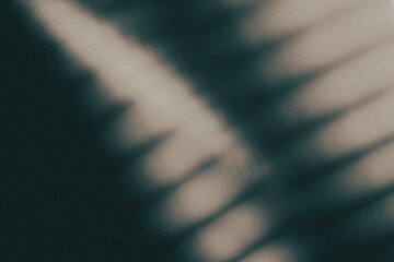 light leak overlay effect with blur light leaks and dust,retro grain noisy film distressed texture light leak flare on black background,retro film overlay	
,old film projector