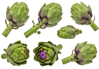 Fototapeta premium Fresh artichokes arranged artistically on a white background showcasing their vibrant colors