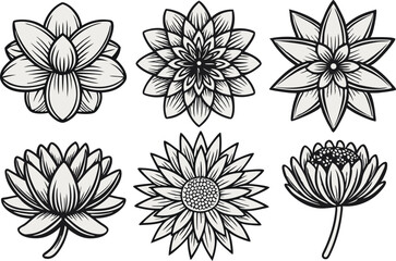 Vector illustration of six elegant black and white floral decorative elements
