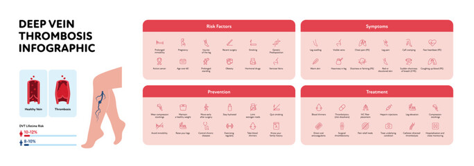 Deep vein thrombosis for healthcare infographic. Vector outline icon set illustration. Risk factor, symptoms, prevention and treatment of DVT. Gender probability and blood vessel chart.