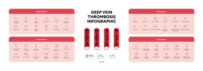 Deep vein thrombosis for healthcare infographic. Vector outline icon set illustration. Risk factor, symptoms, prevention and treatment of DVT. Blood vessel chart. Design for health care, education