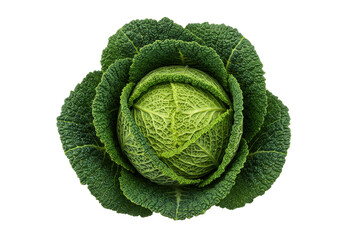 Fresh green cabbage with textured leaves, isolated on a black background, ideal for culinary use