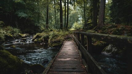 Obraz premium Serene Forest Bridge: A Tranquil Walk Through Nature