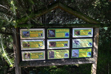 Whiteman, Australia – June 1, 2025: The Caversham Wildlife Park