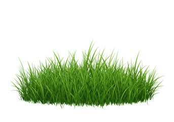 Lush green grass patch in a serene outdoor environment, ideal for nature-themed visuals