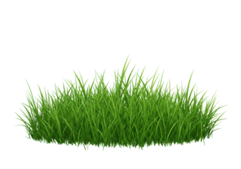 Lush green grass patch in a serene outdoor environment, ideal for nature-themed visuals