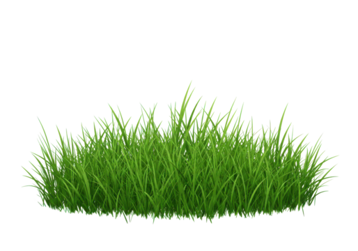 Lush green grass patch in a serene outdoor environment, ideal for nature-themed visuals