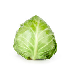 Cabbage isolated on a white background, contour