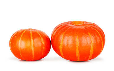 Pumpkins isolated on a white background, contour