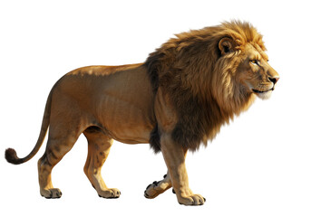 Obraz premium Majestic lion walking through a savannah landscape under a bright sky, showcasing its power