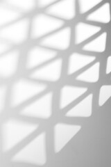 shadow overlay effects of realistic abstract shadow on wall background,Summer sunlight and shadow overlay effect,shadow for photo interior backdrop studio mockup