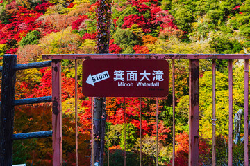 Sign to Minoh Waterfall with colorful autumn foliage in Osaka, Japan