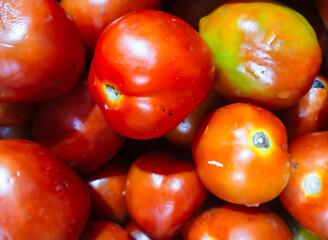 close up of a pile of freshly harvested red and orange tomatoes.