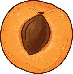 Half Apricot with Seed, Detailed Fruit Illustration, Organic Fresh Produce Clipart