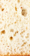 Close-up of bread's porous interior