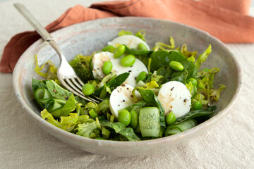 plate of salad with cucumbers, mozzarella and edamame beans on the table