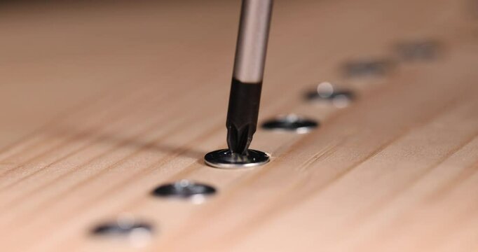self-tapping screws with a drill tip twisted into a pine board, screw with a drill shape for fixing wooden boards
