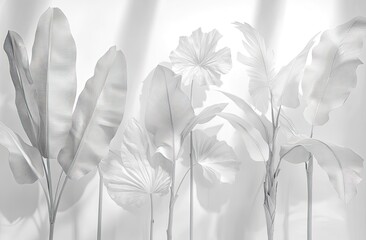 White tropical foliage, sunlit against a white wall