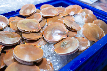 Fresh scallops on ice in blue tray at thai market, top view