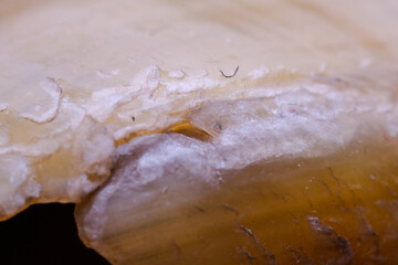 Super Macro View of a Fractured, Layered Materials