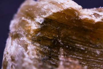 Super Macro View of a Laminated, Fibrous Materials