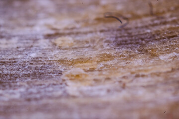 Super Macro View of a Fractured, Layered Materials