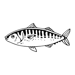 oceanic mackerel fish drawing design