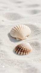 Seashells Resting on Sandy Beach with Soft Light