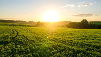 Sunset over green field landscape.