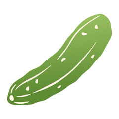 Green cucumber. Fresh pickle cucumber vegetable, organic farm food product, healthy vegetarian vegan diet nutrition, agriculture farm plant, salad cooking ingredient. Vector isolated illustration