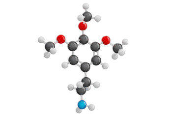 Mescaline molecule isolated on transparent background. Detailed 3D model. Molecular formula: C11H17NO3. Chemical model: Ball and Stick. 3D illustration.