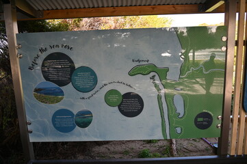Penguin Island, Australia – May 31, 2025: The Penguin Island and Shoalwater of Rockingham, Perth