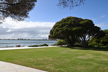 Penguin Island, Australia – May 31, 2025: The Penguin Island and Shoalwater of Rockingham, Perth