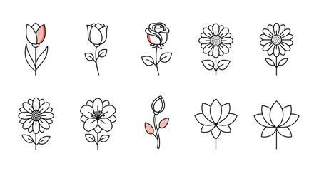 Simple line drawings of flowers in various styles and shapes