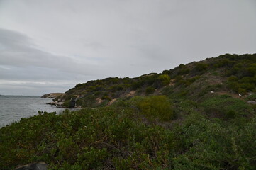 Penguin Island, Australia – May 31, 2025: The Penguin Island and Shoalwater of Rockingham, Perth