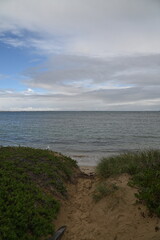 Penguin Island, Australia – May 31, 2025: The Penguin Island and Shoalwater of Rockingham, Perth