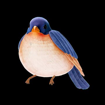 Colorful bird illustration art animation isolated asset, transparent 4K video, alpha channel, ProRes 4444