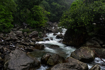 Fast-flowing river over rocks in a lush green forest in Meghalaya. 