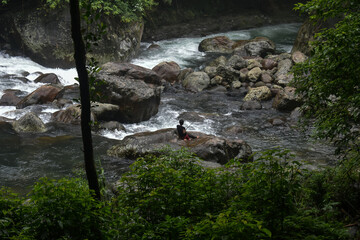 Lush green forest with a person fishing, sitting on a rock in a flowing river in Meghalaya. 
