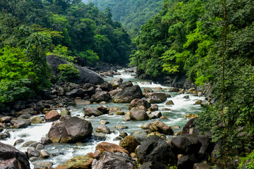 Lush green forest surrounds a rocky river with flowing water in Meghalaya. 