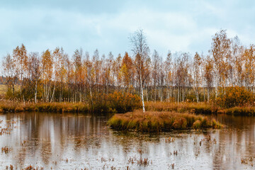 Autumn landscape with colorful trees reflecting in calm water near a serene lake